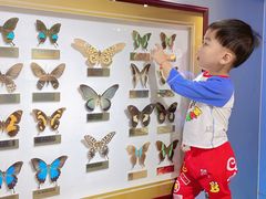 -上海昆虫博物馆