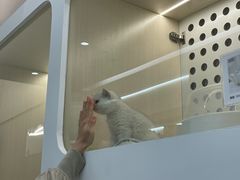 -comecome来吧宠物(奥克斯中心店)