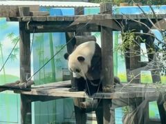 -无锡动物园·太湖欢乐园