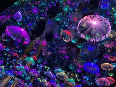 -梵高星空艺术馆(北京旗舰店)