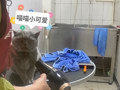 -幸福宠物店(德胜门内大街店)