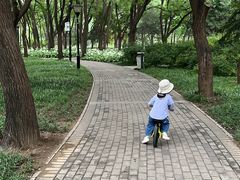 -玲珑塔公园