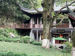 -十八棵（老龙井）御茶园(老龙井店)