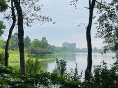 -美兰湖景区