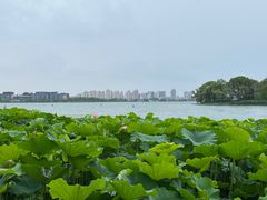 -金鸡湖游船(月光码头)