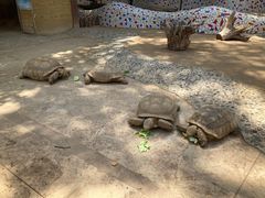 -石家庄市动物园