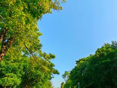 -深圳湾公园(南山区)