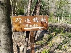 -三块石国家森林公园