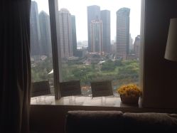 -巍阁高端月子会所