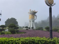 -北海金海湾红树林生态旅游区