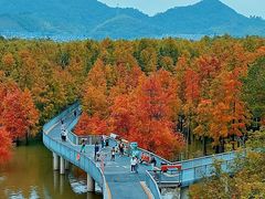 -青山湖景区