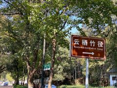 -西湖风景区十里琅珰-五云山
