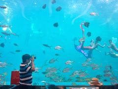 -瑞德姆美人鱼海底演艺主题餐厅(亚龙湾店)