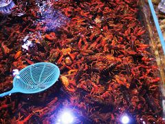 -聚盛源蒸汽海鲜火锅烤肉自助(巨川金海岸购物广场店)