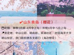 -洛阳市牡丹公园