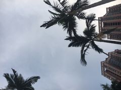 -黄金海岸水上乐园