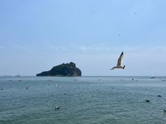 -棒棰岛宾馆景区