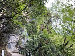 -光雾山旅游景区