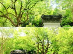 -深圳国际园林花卉博览园