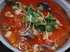 -老凯俚酸汤鱼(鸿通城店)