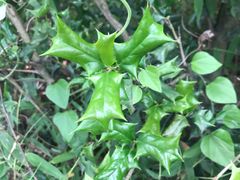 -杭州半山国家森林公园