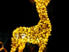 -海口骑楼小吃街