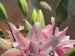 -都氏家DUSJOY(翡翠城店)