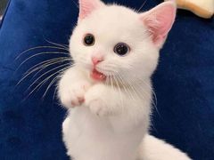 -文成焕·家族韩式餐厅