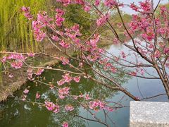 -梁鸿国家湿地公园