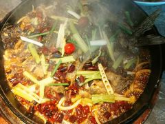 -老板恋上鱼(恒隆广场店)