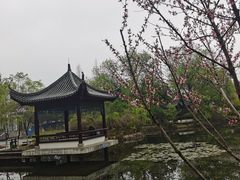 -古琴台