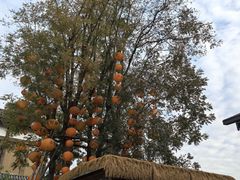 -白鹭湾湿地公园