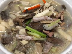 -鹅城