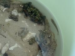 -三亚太阳湾柏悦酒店