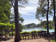 -井之头恩赐公园