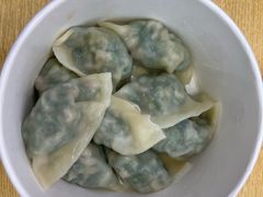 地菜鲜肉饺子-熊大爷现包饺子(水果湖路店)