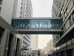 -首都医科大学附属北京潞河医院