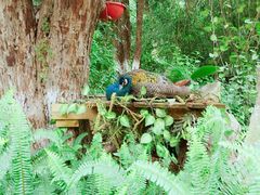 -七彩云南欢乐世界