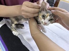 -美联众合动物医院·24h转诊中心