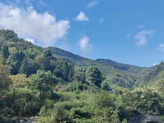 -石台牯牛降景区