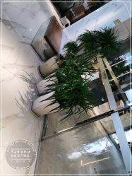 -罗亚帝造型·烫发染发