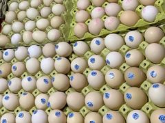 鸡蛋-金宝生活市场(东五环店)