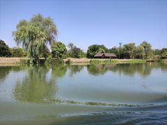 -西溪国家湿地公园