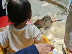 -深圳野生动物园