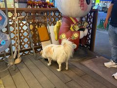 -無忧浅草君·洋风料理(下沙宝龙二期一店)