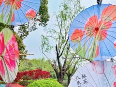 -上海鲜花港