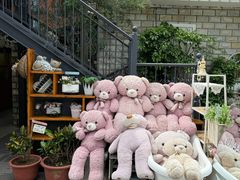 -京北渔家傲