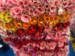 -昆明国际花卉拍卖交易中心