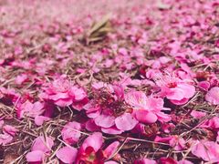 -杭州城北体育公园