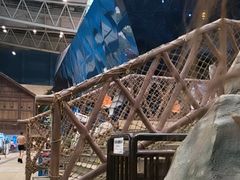 -青岛东方影都融创水世界